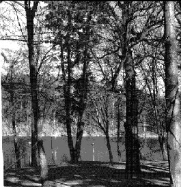 Park Andersa w Rucianem Nidzie